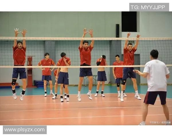 广州排球队的意识提升与团队协作探讨聚焦排球发展新方向